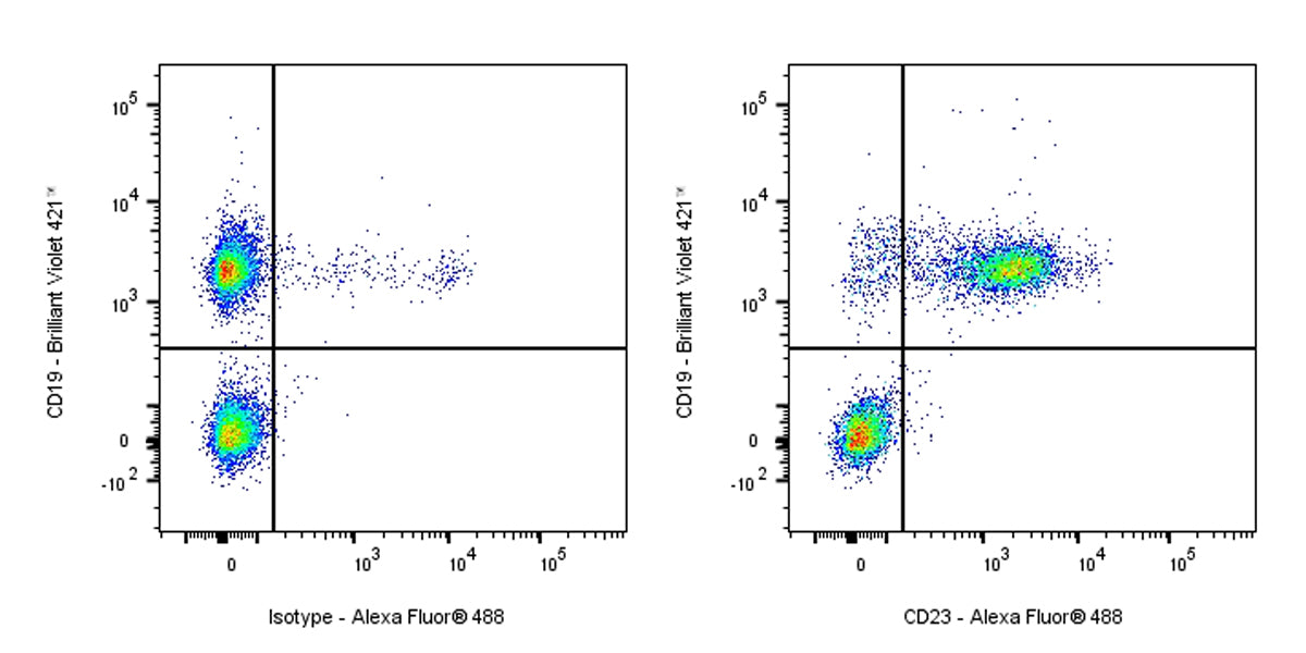 Rat Anti-Mouse CD23 Antibody (S-R672)