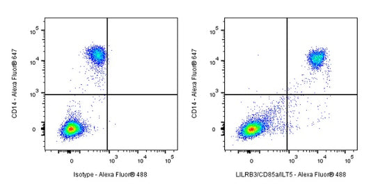 LILRB3/CD85a/ILT5 Recombinant Rabbit mAb (S-282-70)