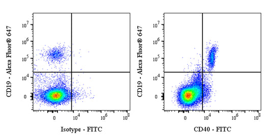 FITC Mouse Anti-Human CD40 Antibody (S-3799)
