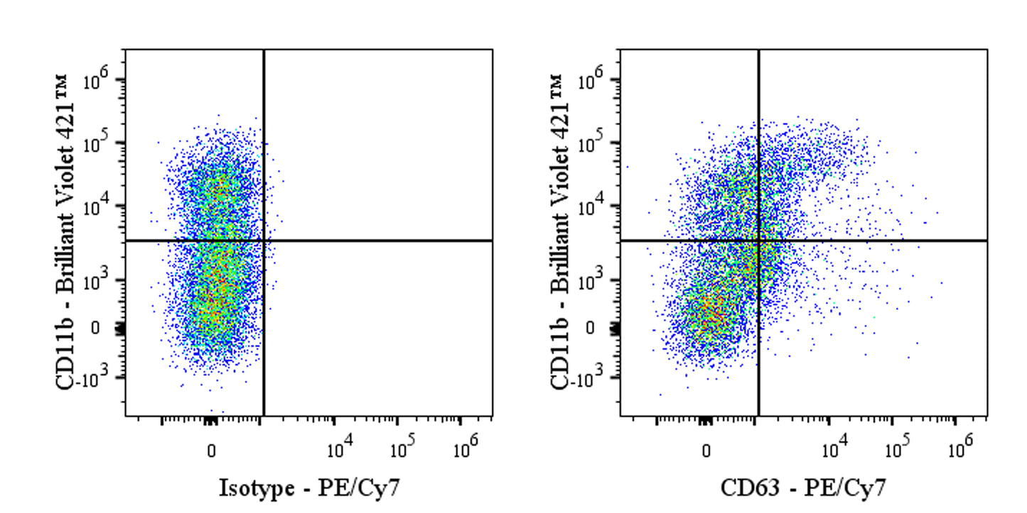 PE-Cy7 Rat Anti-Mouse CD63 Antibody (S-R667)