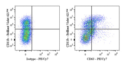 PE-Cy7 Rat Anti-Mouse CD63 Antibody (S-R667)