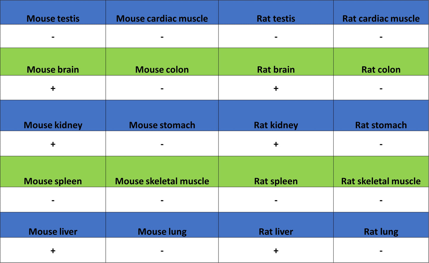 Niemann Pick C1 Recombinant Rabbit mAb (S-5243)