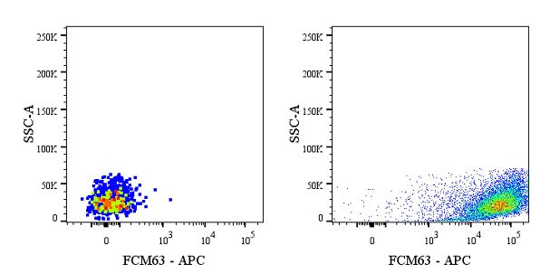 FMC63 Recombinant Rabbit mAb (APC Conjugate) (S-2163-77)