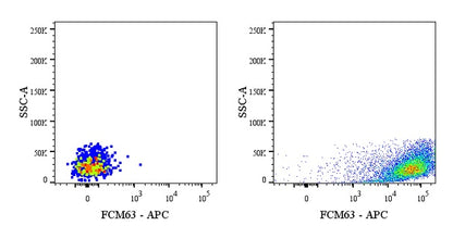 FMC63 Recombinant Rabbit mAb (APC Conjugate) (S-2163-77)
