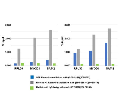 GFP Recombinant Rabbit mAb (S-296-169)