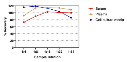 Human IgE OneStep ELISA Kit