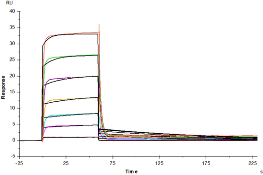 PVRIG Fc Chimera Protein, Human