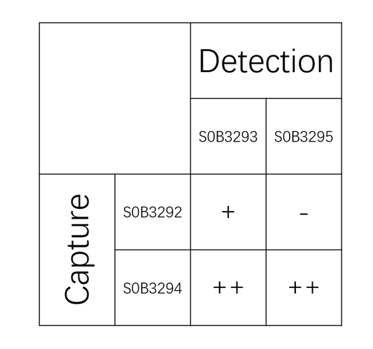 GDF-15 Recombinant Rabbit mAb (SDT-1012-35)