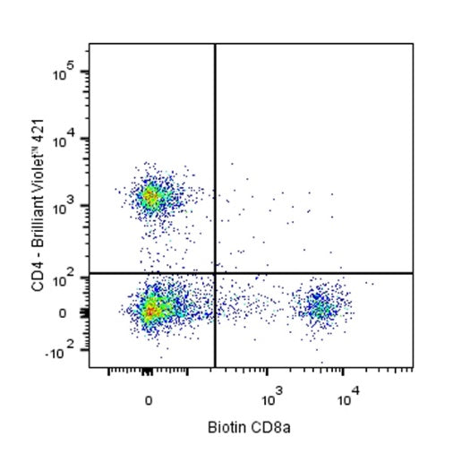 Biotin Rat Anti-Mouse CD8α Antibody (S-353-45)