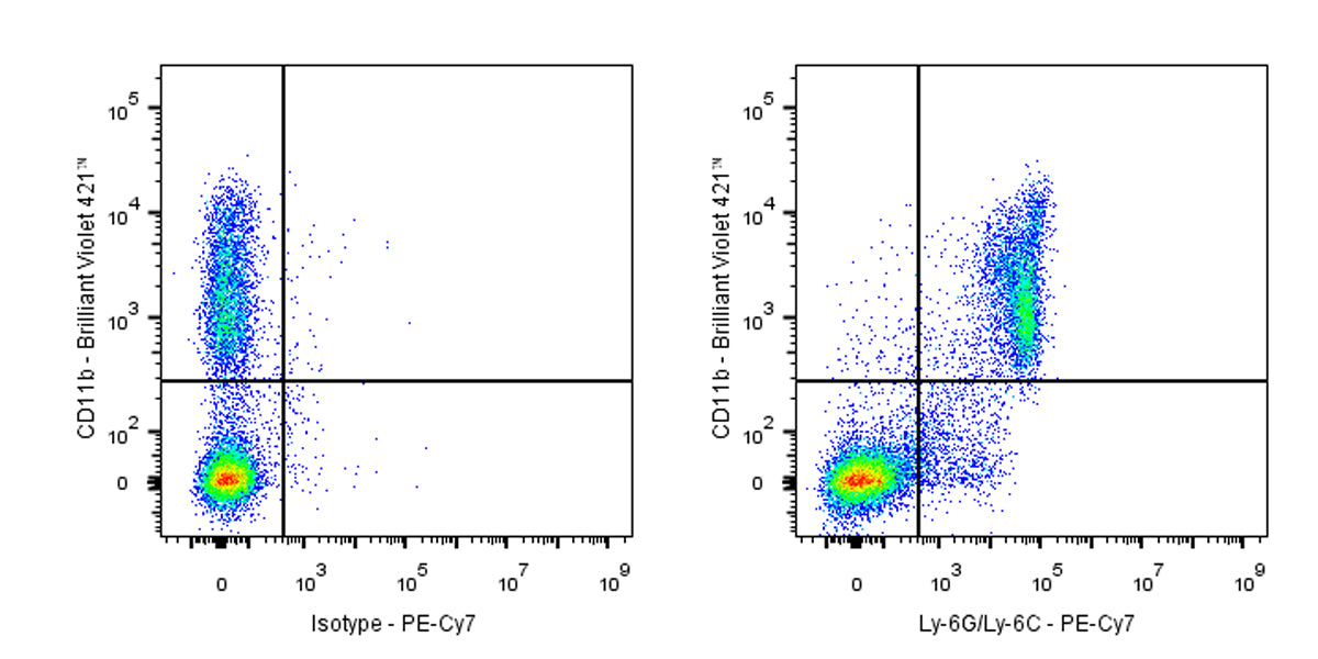 PE-Cy7 Rat Anti-Mouse Ly-6G/Ly-6C (Gr-1) Antibody (RB6-8C5)
