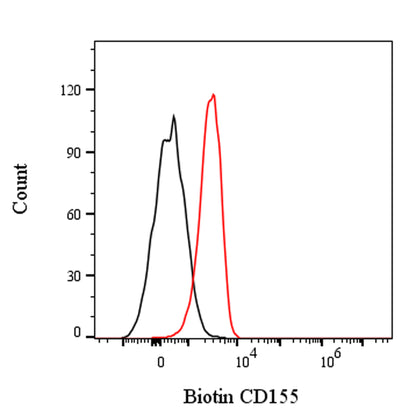 Biotin Rat Anti-Mouse CD155 Antibody (TX56)