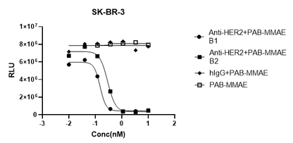 PAB-MMAE IgG Labeling Kit