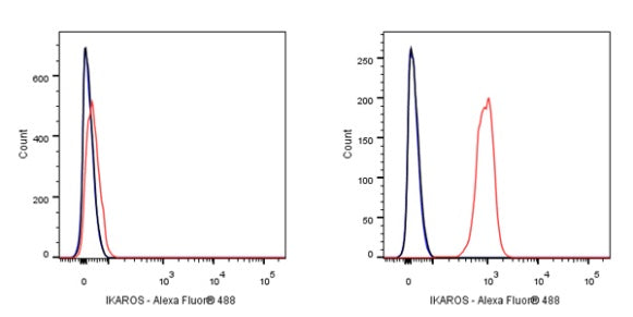 IKAROS Recombinant Rabbit mAb (S-R264)