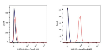 IKAROS Recombinant Rabbit mAb (S-R264)