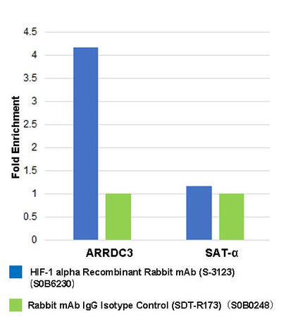 HIF-1α Recombinant Rabbit mAb (S-3123)