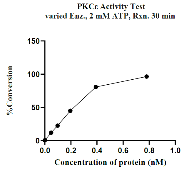 PRKCE(PKCε) GST Tag Protein, Human