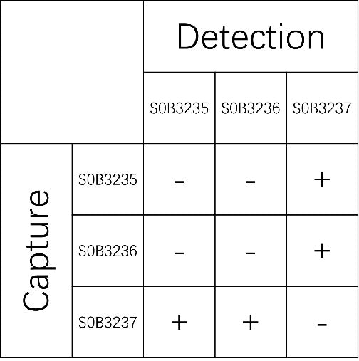 IL-13 Recombinant Rabbit mAb (SDT-697-89)