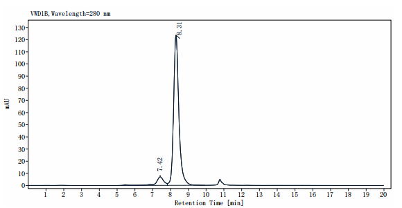 MMP-9(20-469) His Tag Protein, Cynomolgus