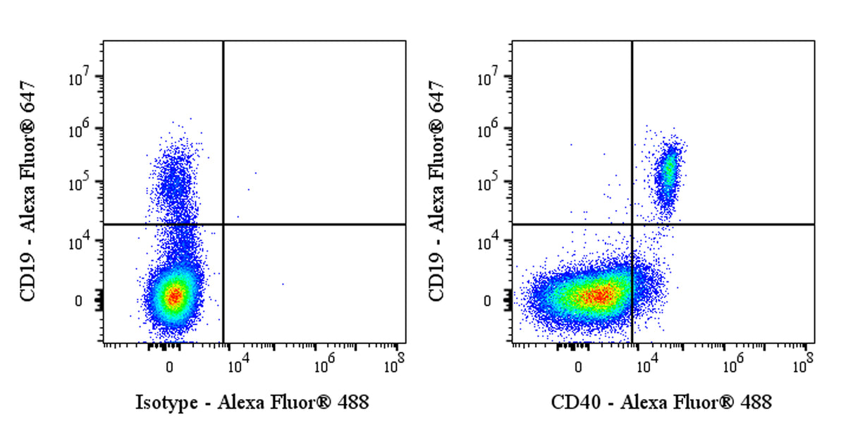 Alexa Fluor® 488 Mouse Anti-Human CD40 Antibody (S-3799)