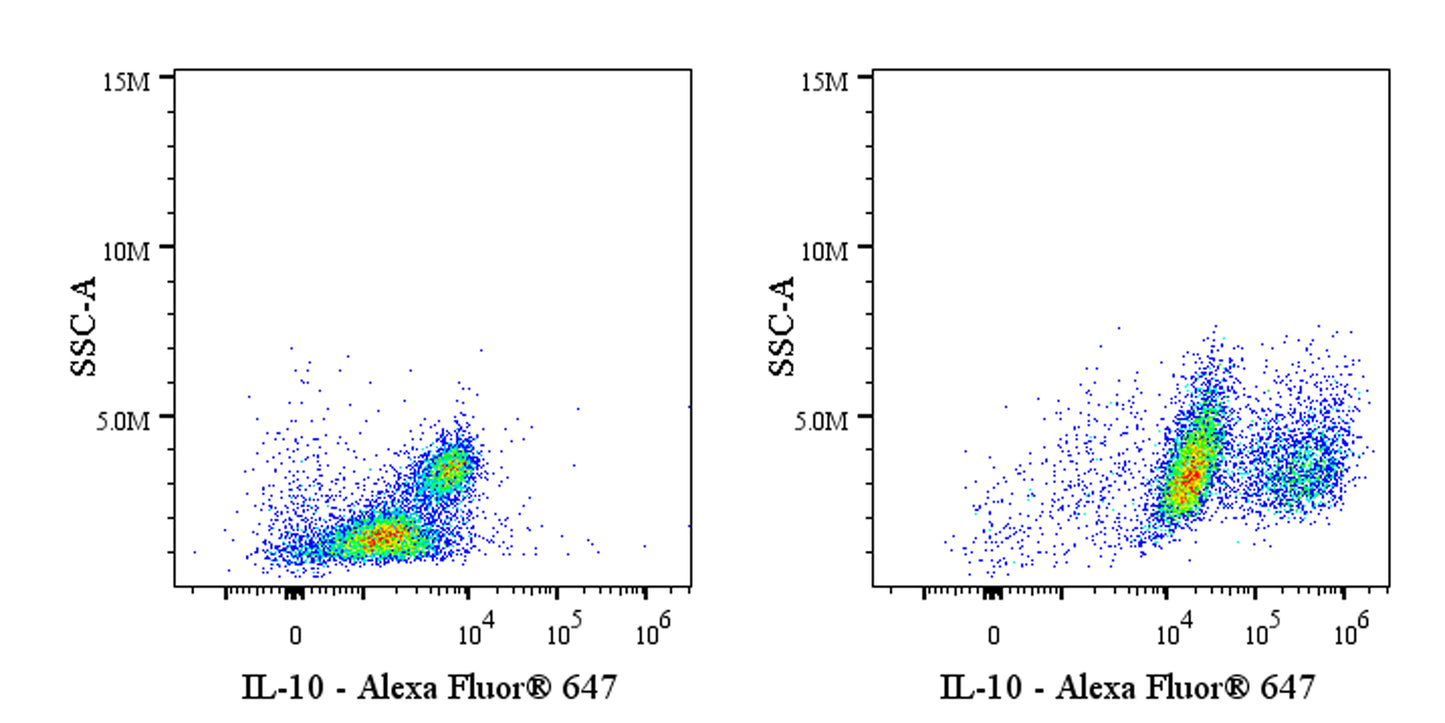 Rat Anti-Human IL-10 Antibody (S-3081)