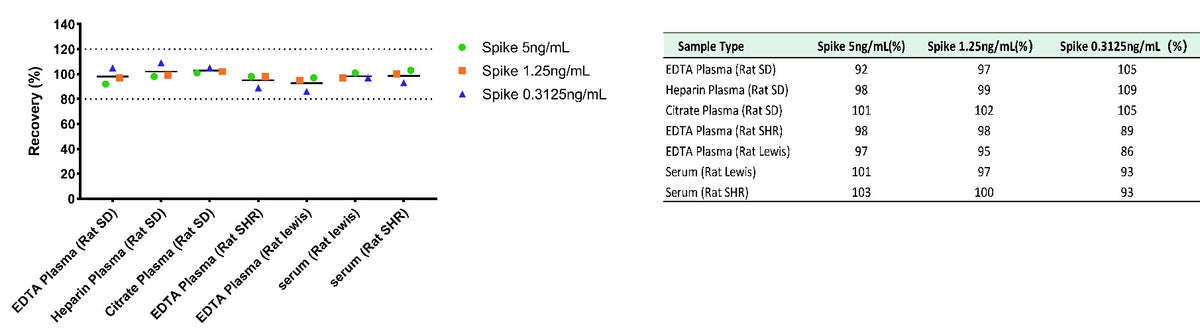 Rat IgE Serum & Plasma OneStep ELISA Kit