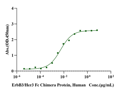 NRG1 Beta 1 His Tag Protein, Human