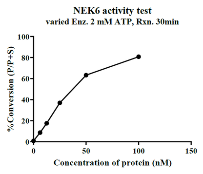 NEK6 GST Tag Protein, Human