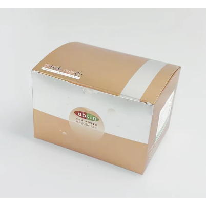 Product image media
