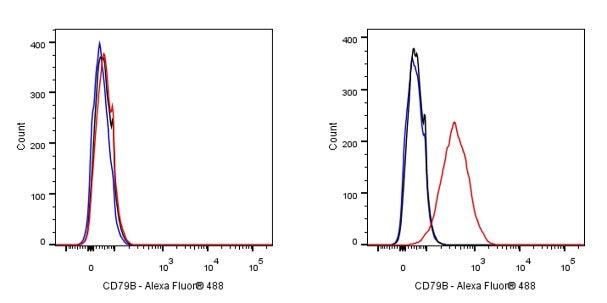 S-RMab® CD79B Recombinant Rabbit mAb (SDT-R513)