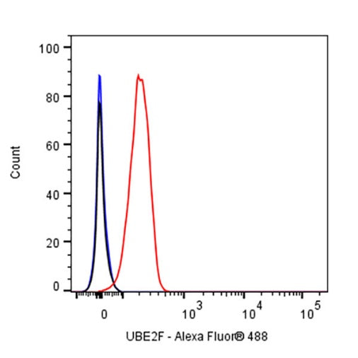 UBE2F Recombinant Rabbit mAb (S-2672-26)