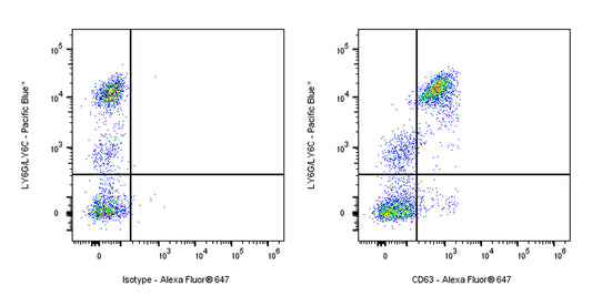 Rat Anti-Mouse CD63 Antibody (S-R667)