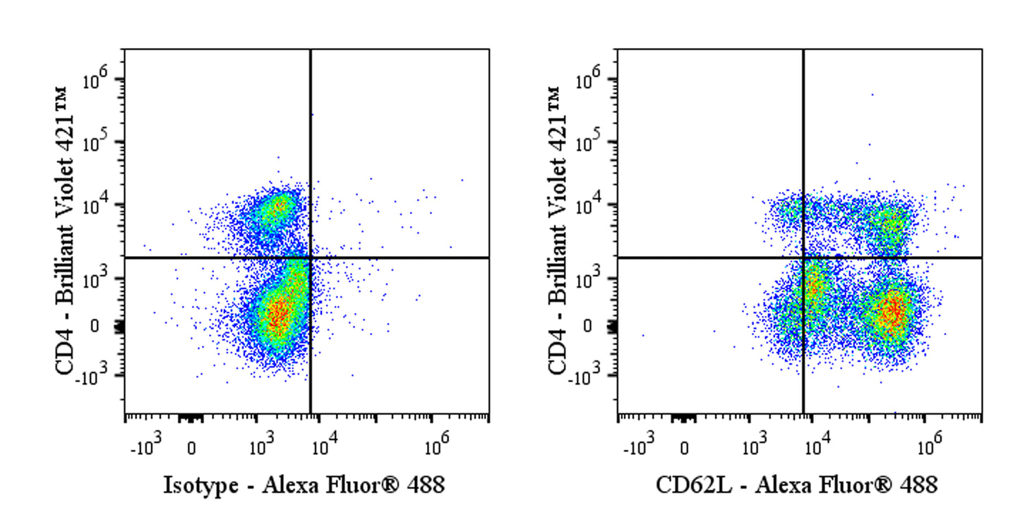 Mouse Anti-Human CD62L (L-Selectin) Antibody (S-5636)