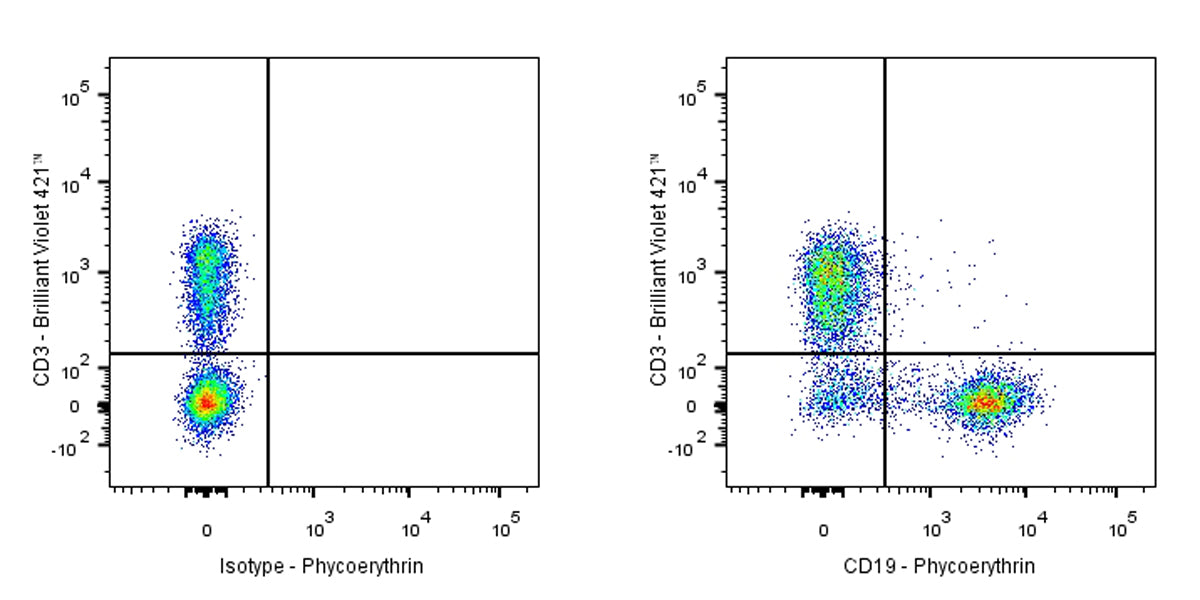 PE Rat Anti-Mouse CD19 Antibody (1D3)