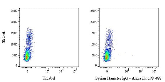 Syrian Hamster IgG Isotype Control (S-4443)