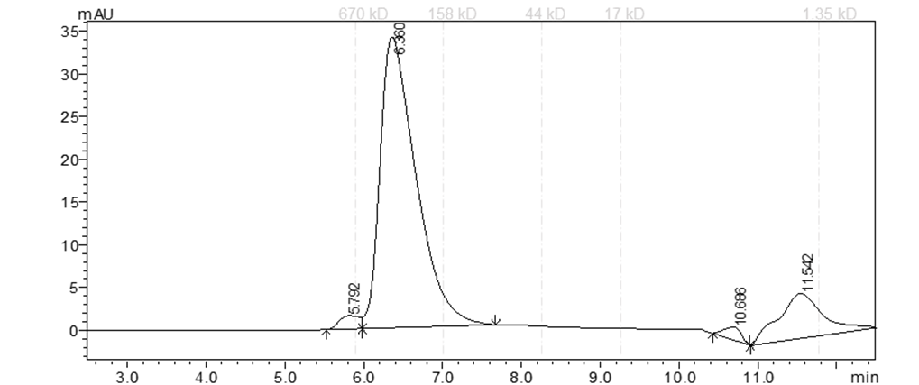 BTK[V416L] Protein