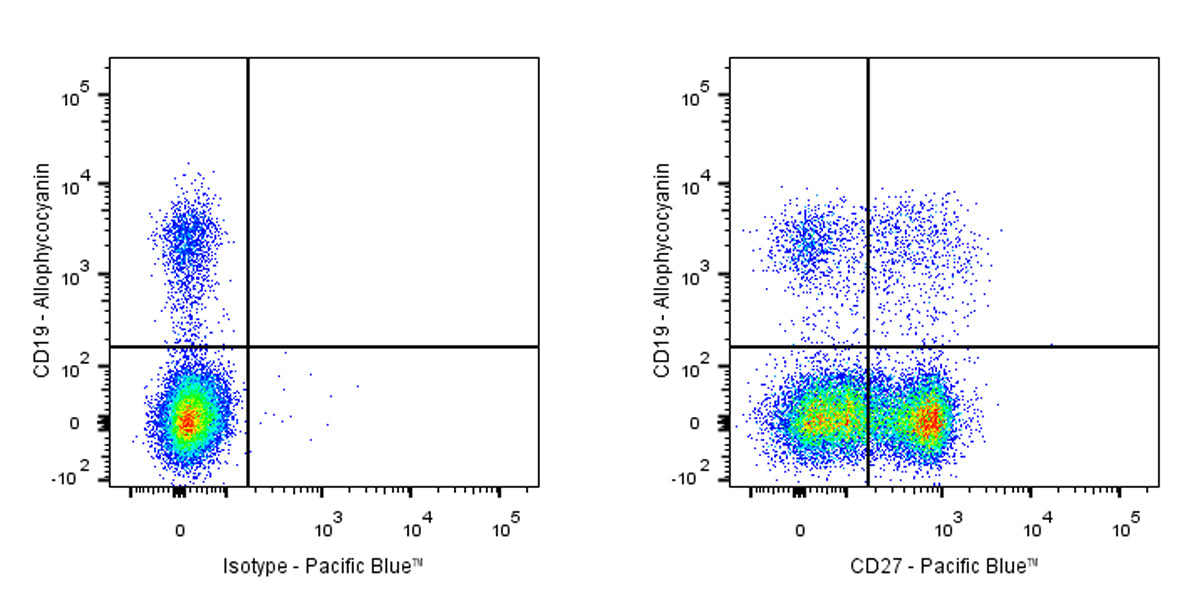Pacific Blue Armenian hamster Anti-Mouse/Rat/Human CD27 Antibody (S-R620)