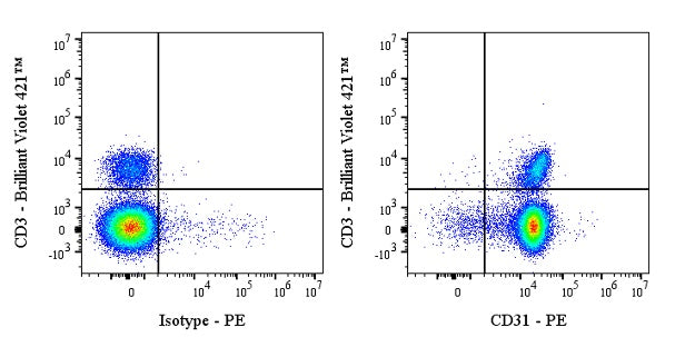PE Rat Anti-Mouse CD31 Antibody (MEC13.3)