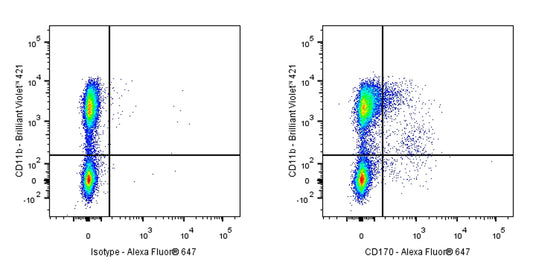Rat Anti-Mouse CD170 Antibody (S-R691)