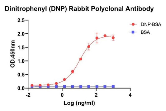 Dinitrophenyl (DNP) Rabbit Polyclonal Antibody