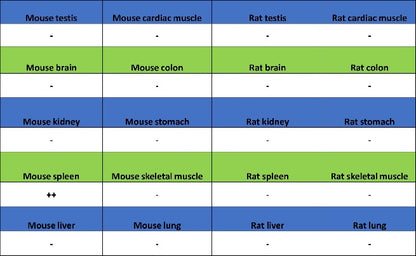 CD42a Recombinant Rabbit mAb (S-2705-46)