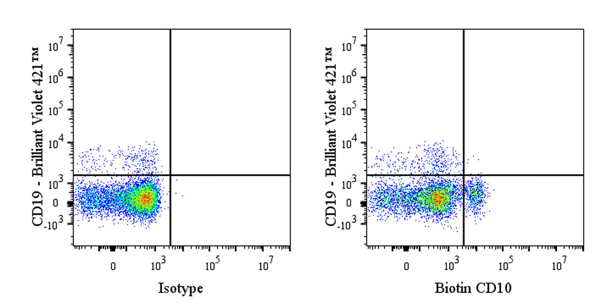 Biotin Mouse Anti-Human CD10 Antibody (S-713-5)