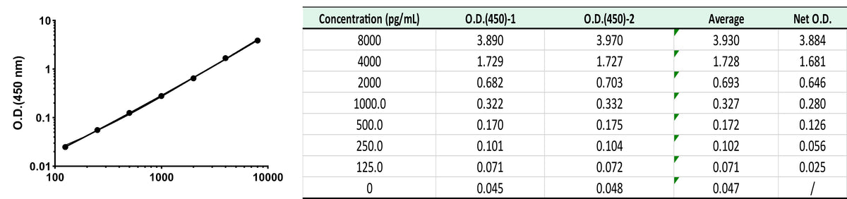 Rat IL-6 OneStep ELISA Kit