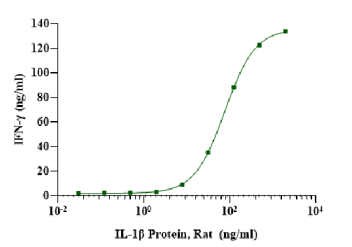 IL-1β Protein, Rat