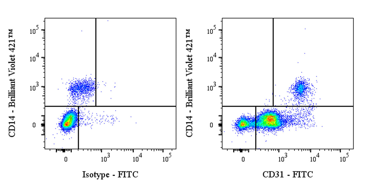 FITC Mouse Anti-Human CD31 Antibody (WM59)