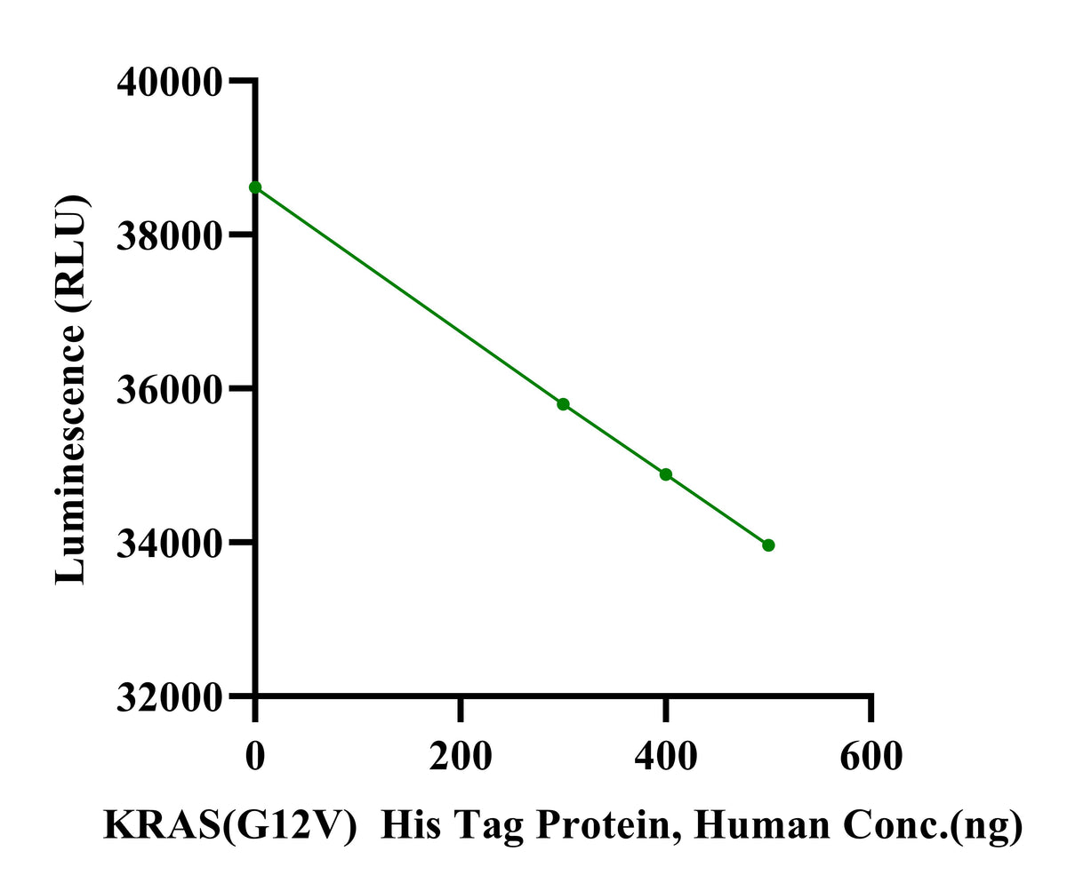 KRAS(G12V) His Tag Protein, Human