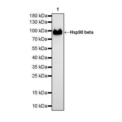 Product image media