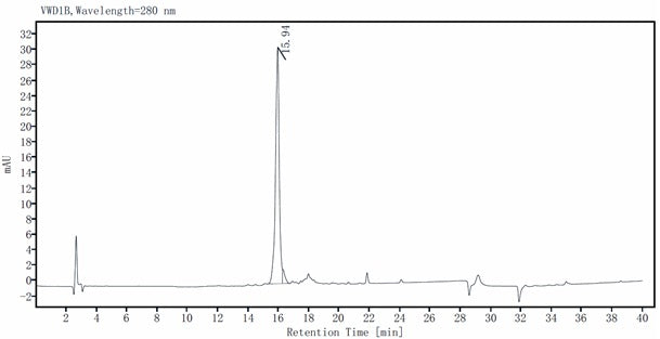IL-3 Protein, Mouse