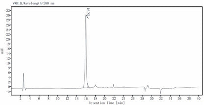 IL-3 Protein, Mouse