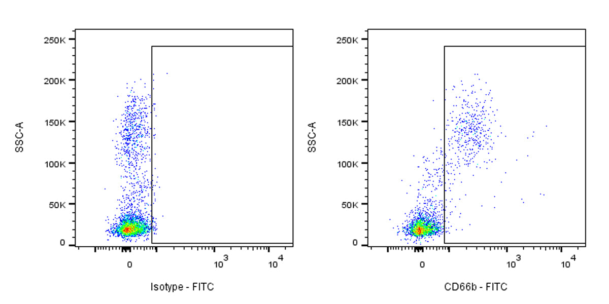 FITC Mouse Anti-Human CD66b Antibody (G10F5)