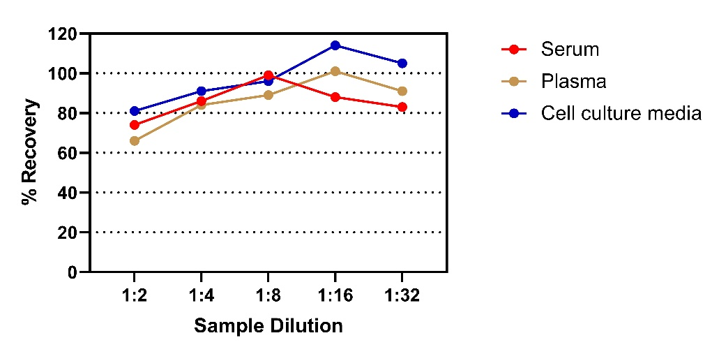 IL-11 HS ELISA Kit